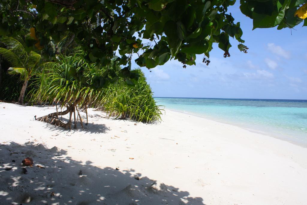 Plumeria Maldives Thinadhoo  Exterior foto